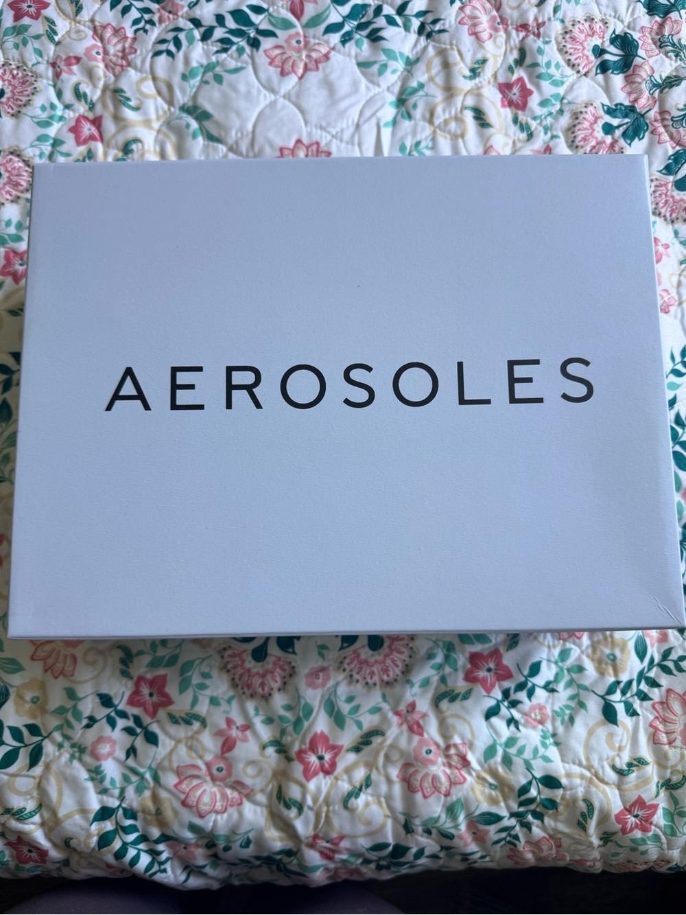 AEROSOLES Light Blue Box with Black Logo